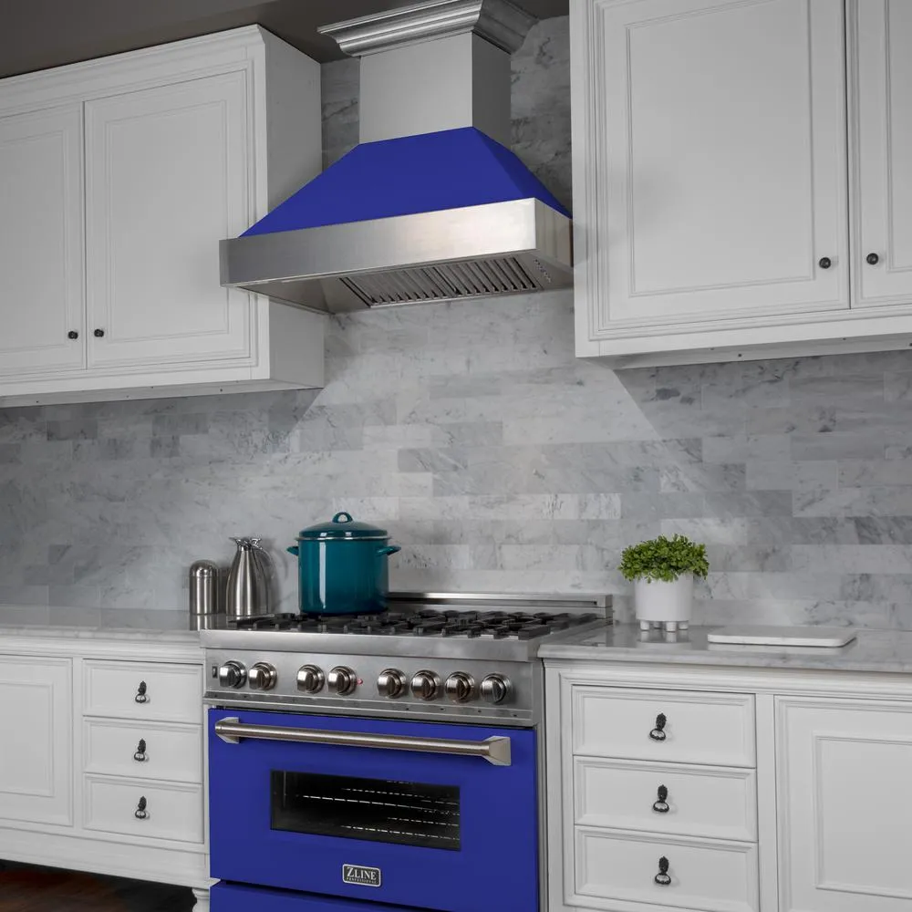 42" Snow Finish Range Hood with Blue Matte Shell