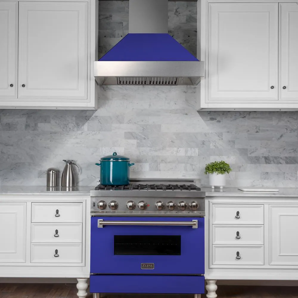 42" Snow Finish Range Hood with Blue Matte Shell