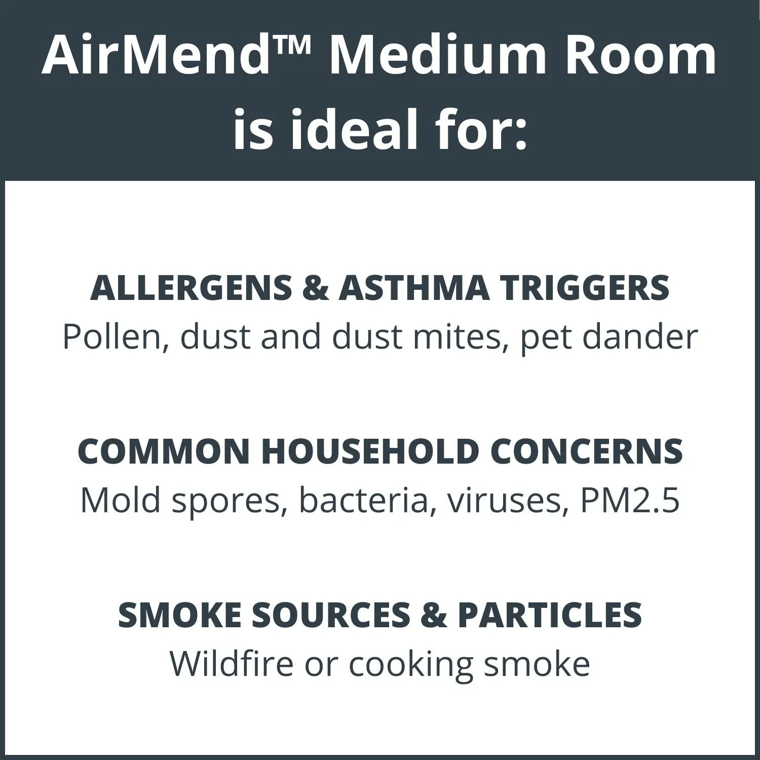 AirMend™ Medium Room HEPA Air Purifier