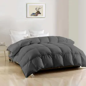 ARLinen AC Comforter Quilt Blanket for All Season Super Soft Fluffy Comforter, 100 GSM (60" X 90" Inches/152Cm X 228Cm) - Single Bed Comforter|Dark Grey