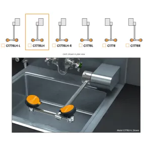 Guardian G1778LH Eye/Face Wash, Wall Mounted Swing-Down