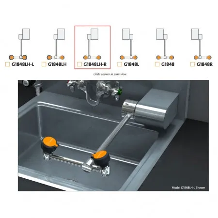 Guardian G1848LH-R Eyewash Station, Wall Mounted, Swing-Down