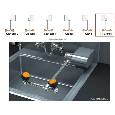 Guardian G1848R Eyewash Station, Wall Mounted, Swing-Down