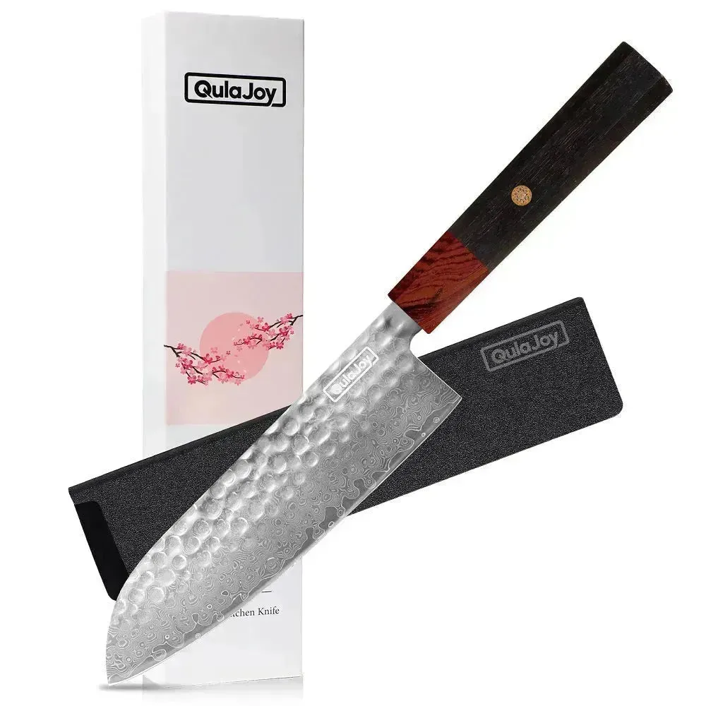 Hand-Hammered Sharp Japanese Professional Chef Knives