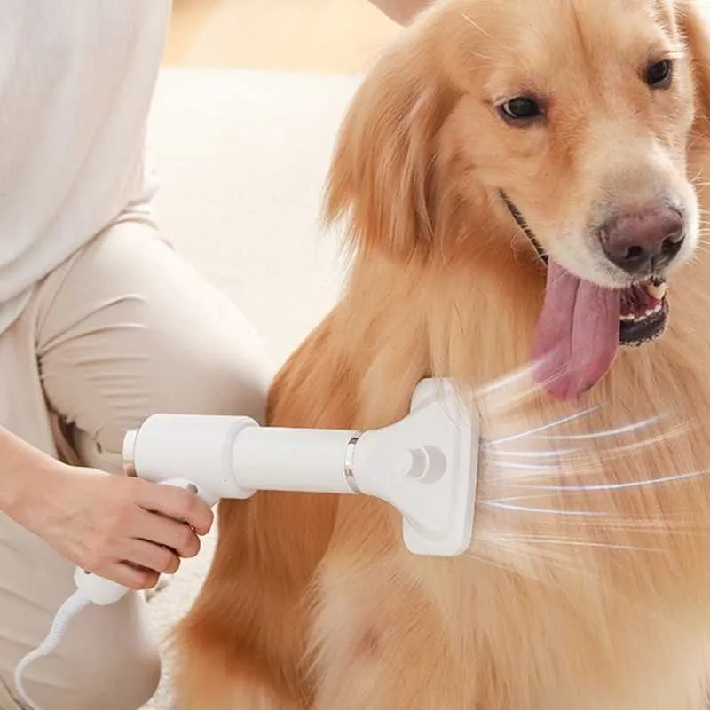 Pet 2-in-1 Dryer with Slicker Brush