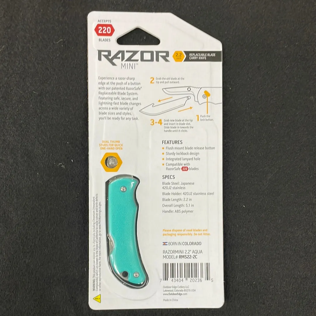 Razor Mini 2.2 inch Replaceable Blade Carry Knife