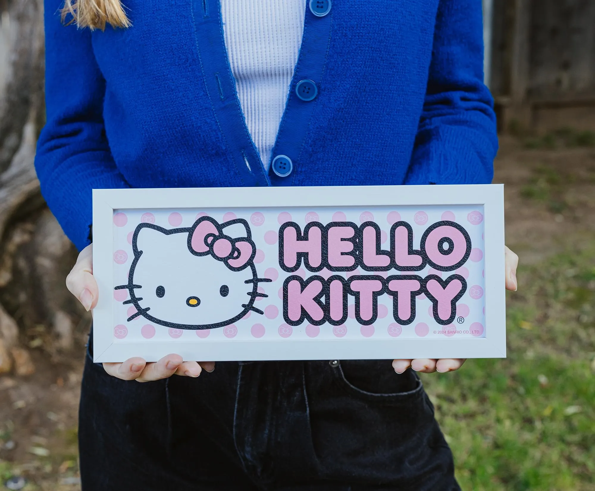 Sanrio Hello Kitty Pink 12 x 5 Inch Framed MDF Wall Art