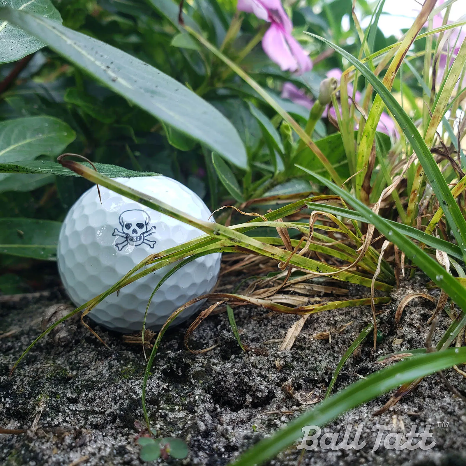 Skull & Crossbones Golf Ball Stamp