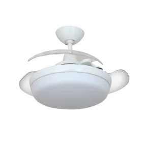 Swift 38" Ceiling Fan by Iconic Fan Company