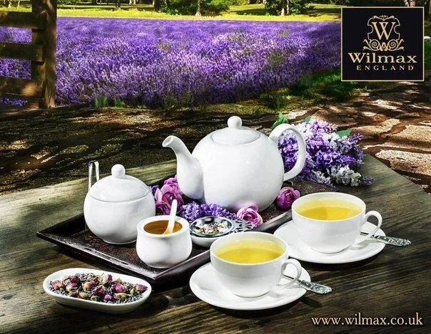 White Tea Cup 8 Oz | 250 Ml