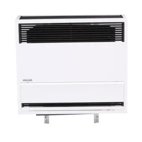 Williams Direct-Vent Heater 30,000 BTU - LP