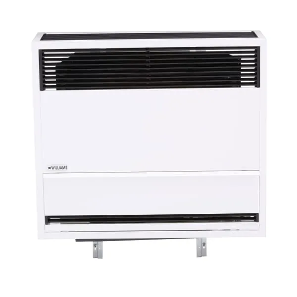 Williams Direct-Vent Heater 30,000 BTU - LP